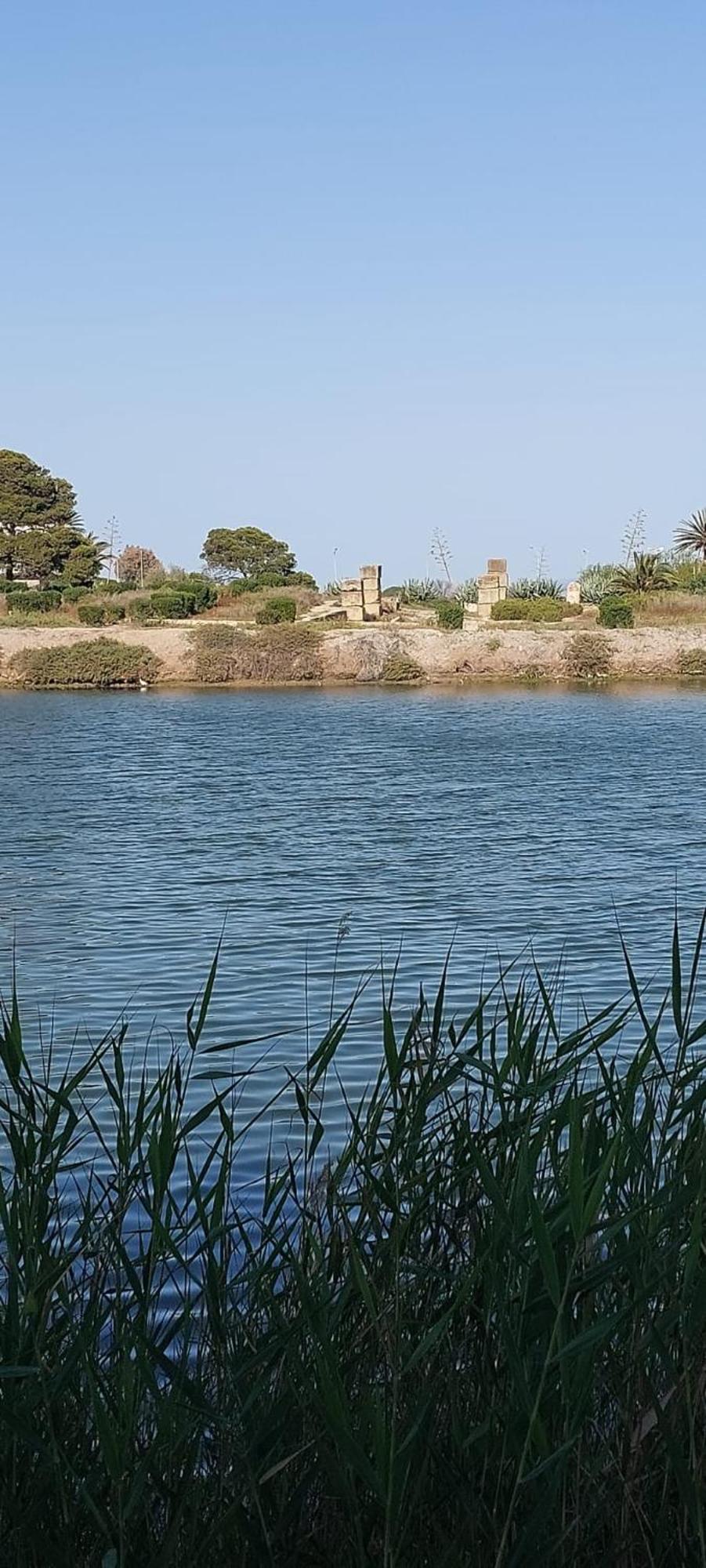 "L'Abri Cotier" Appartement 3 Chambres Haut Standing Port Punique Carthage Douar ech Chott ภายนอก รูปภาพ